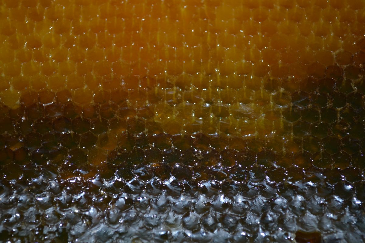 Honey Comb